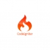 Разработка сайта с использованием технологии CodeIgniter Framework
