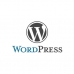 Настройка шаблонов WordPress популярного блога «Торседор», Донецк
